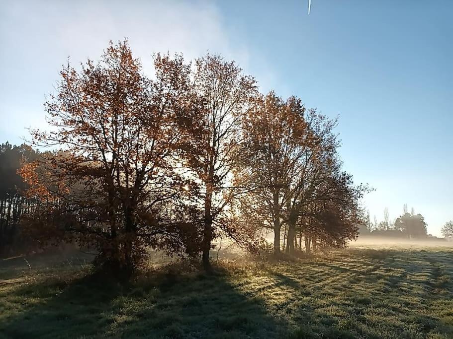 Gite Aux Bois D'En Temps Lunas  Zewnętrze zdjęcie