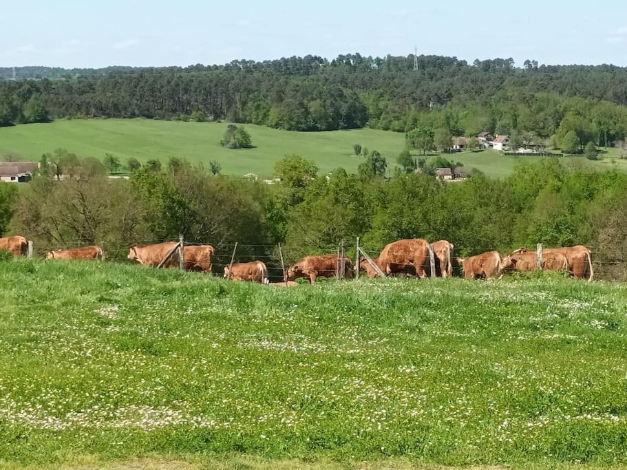 Gite Aux Bois D'En Temps Lunas  Zewnętrze zdjęcie