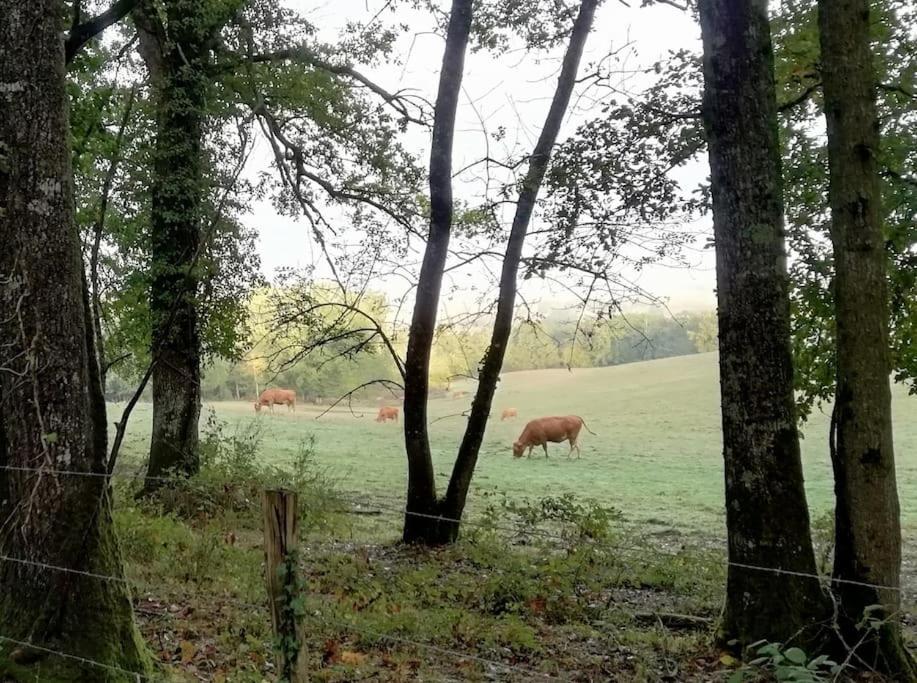 Gite Aux Bois D'En Temps Lunas  Zewnętrze zdjęcie