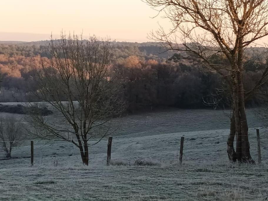 Gite Aux Bois D'En Temps Lunas  Zewnętrze zdjęcie