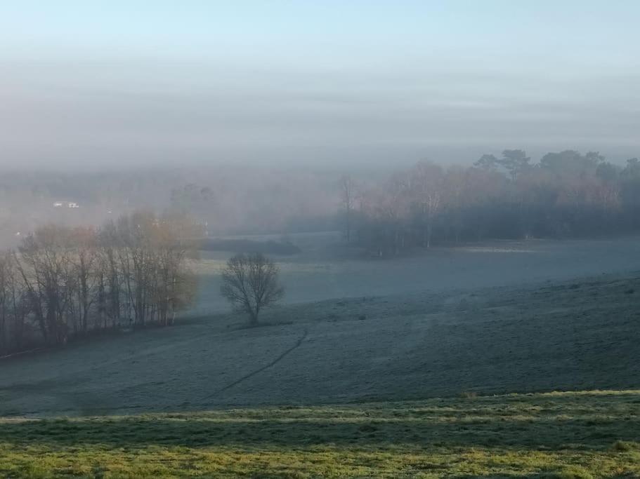 Gite Aux Bois D'En Temps Lunas  Zewnętrze zdjęcie